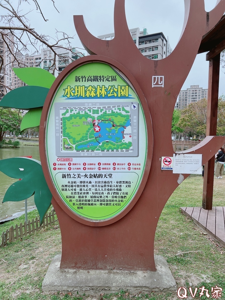 「新竹。遊記」水圳森林公園，大草地可悠閒野餐，還有湖泊可賞鴨