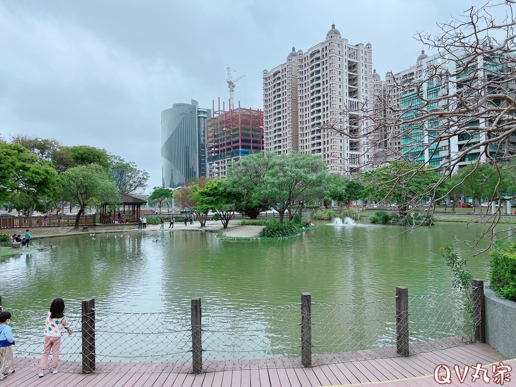 「新竹。遊記」水圳森林公園，大草地可悠閒野餐，還有湖泊可賞鴨