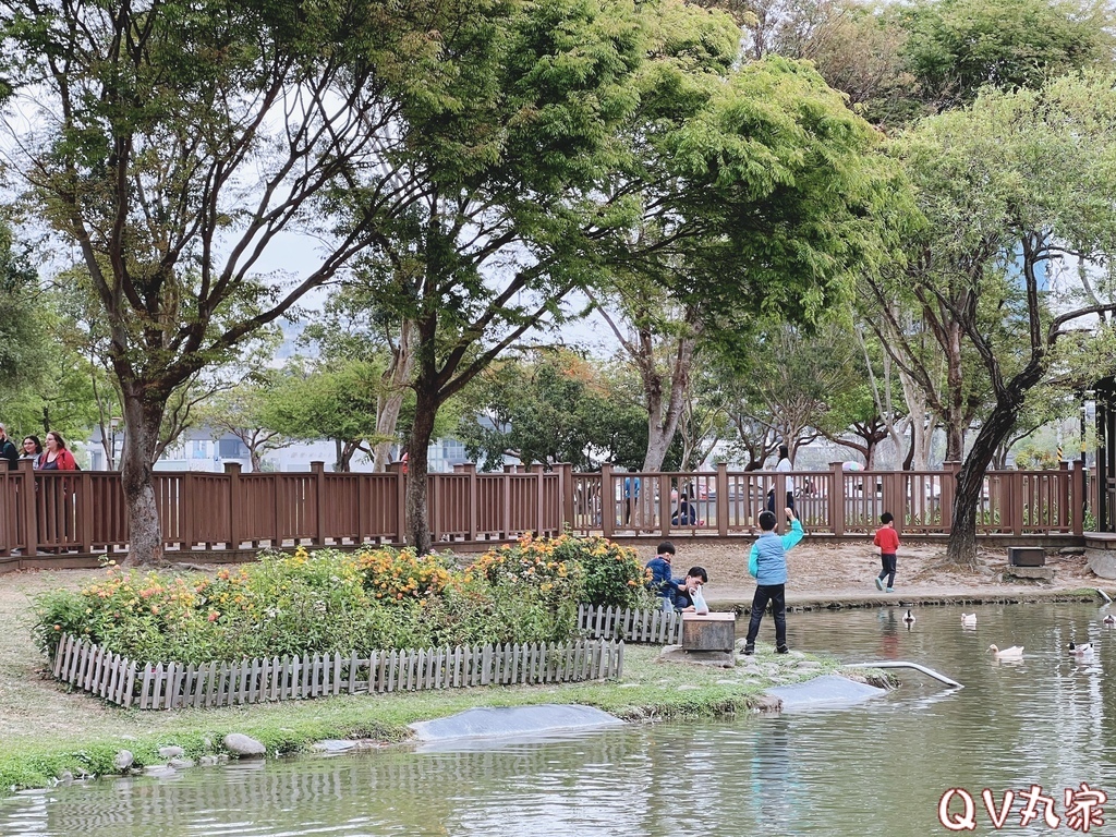 「新竹。遊記」水圳森林公園，大草地可悠閒野餐，還有湖泊可賞鴨