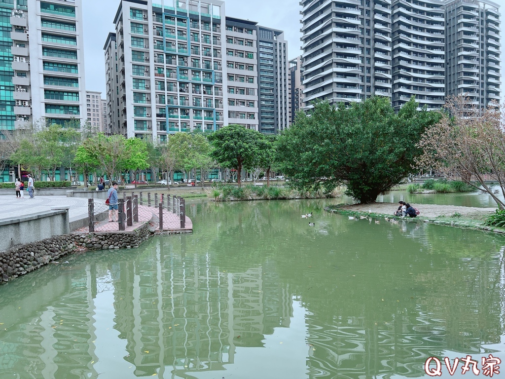 「新竹。遊記」水圳森林公園，大草地可悠閒野餐，還有湖泊可賞鴨