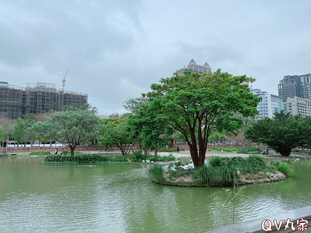 「新竹。遊記」水圳森林公園，大草地可悠閒野餐，還有湖泊可賞鴨