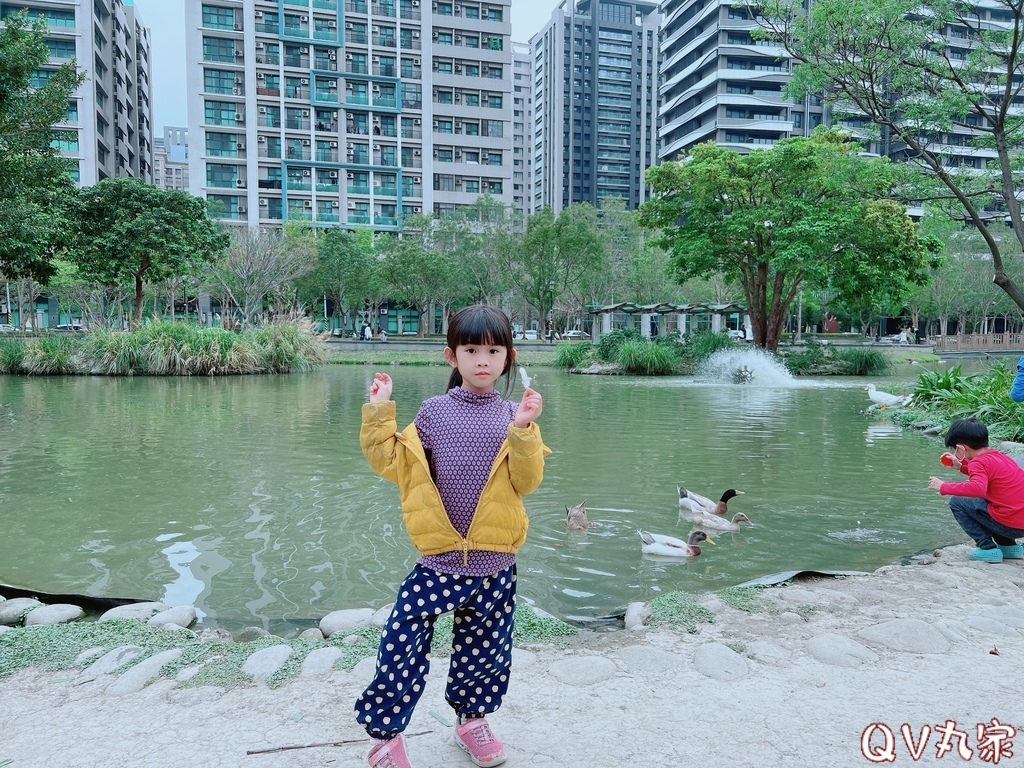 「新竹。遊記」水圳森林公園，大草地可悠閒野餐，還有湖泊可賞鴨