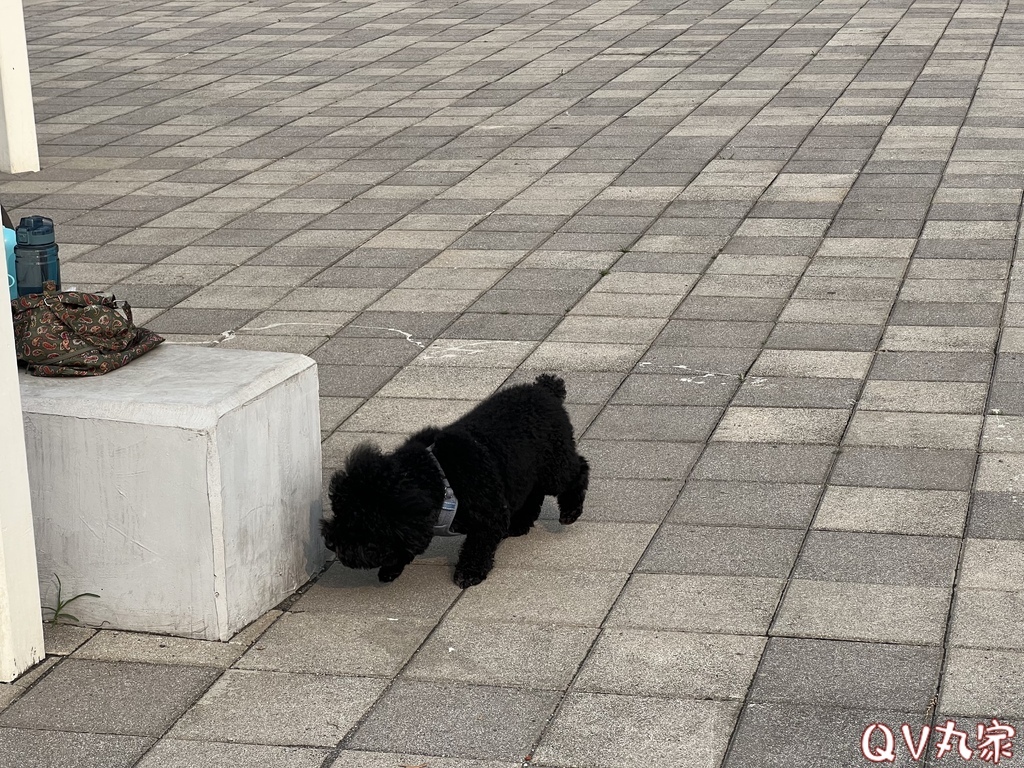 「台中。遊記」馬卡龍公園，全台最高11公尺戶外溜滑梯，攀爬網