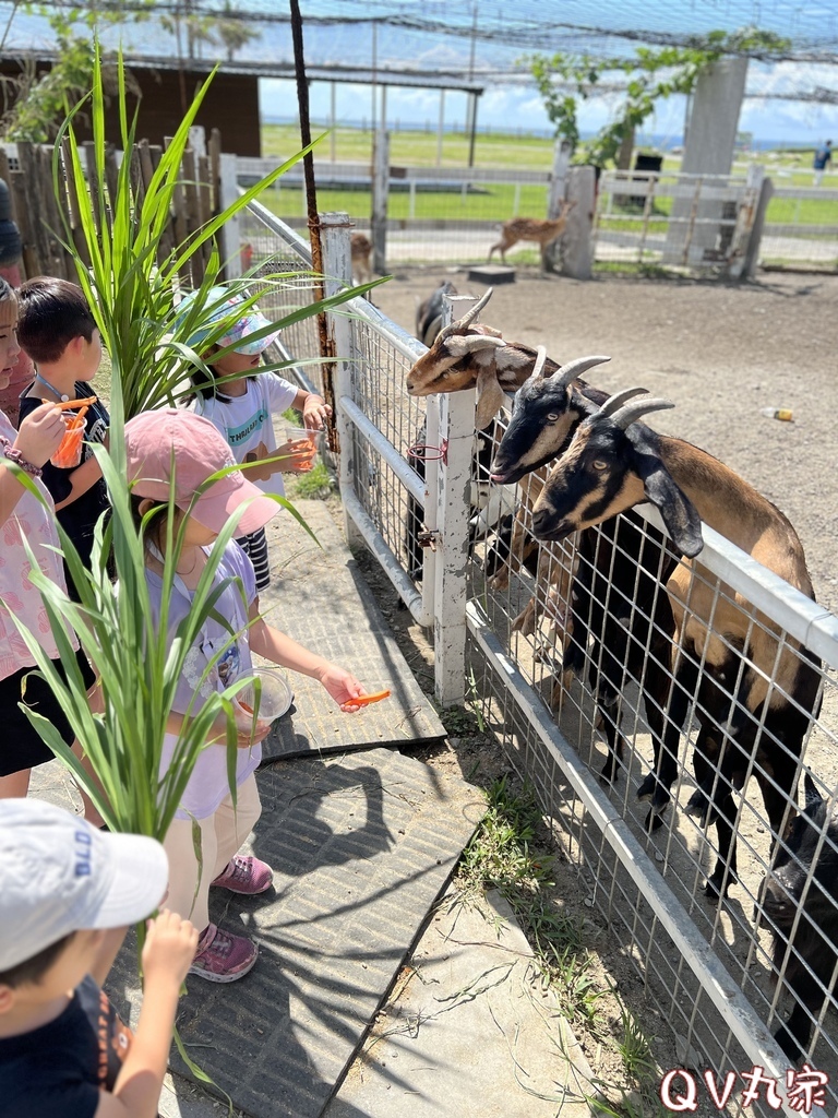 「花蓮。遊記」崇德瑩農場，可愛動物餵食，騎馬體驗，沙灘車，飛