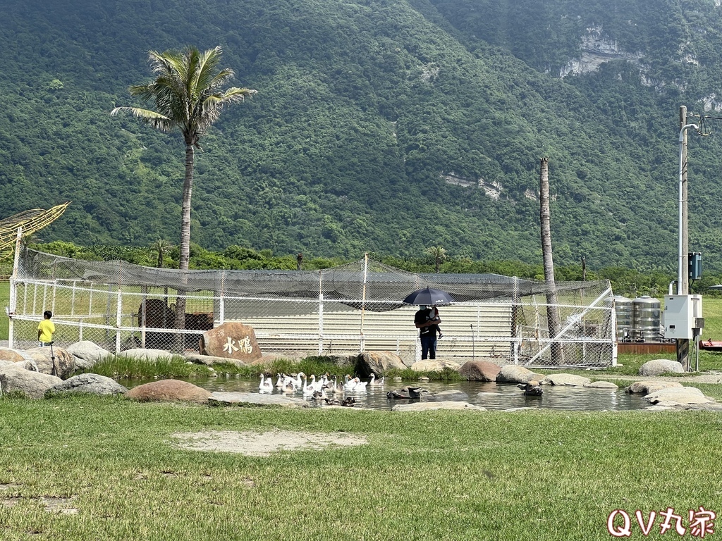 「花蓮。遊記」崇德瑩農場，可愛動物餵食，騎馬體驗，沙灘車，飛