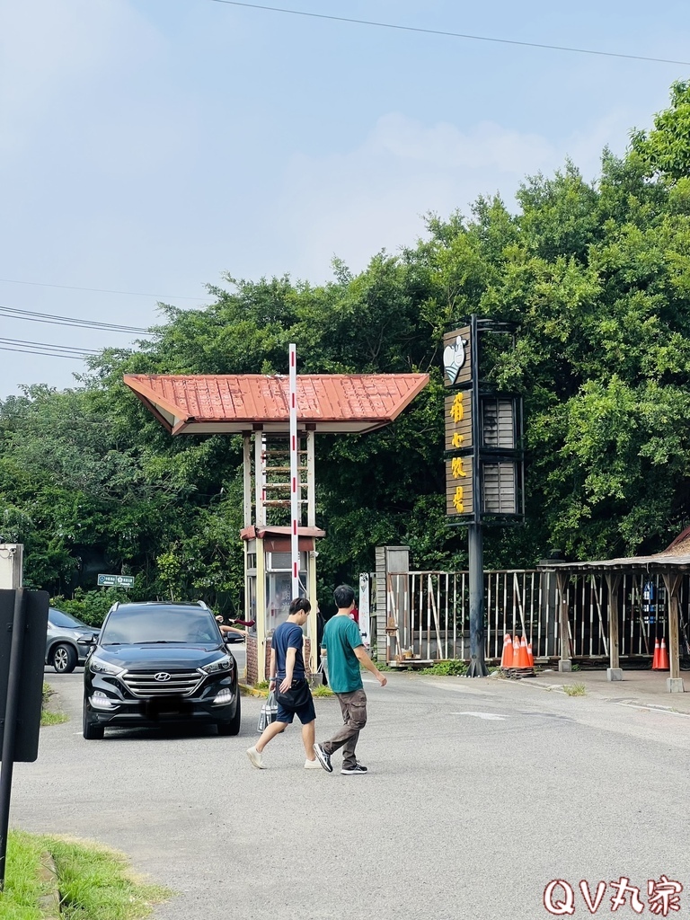 「桃園。遊記」埔心牧場，萌萌村，可愛動物區，賽金豬賽福羊，牛