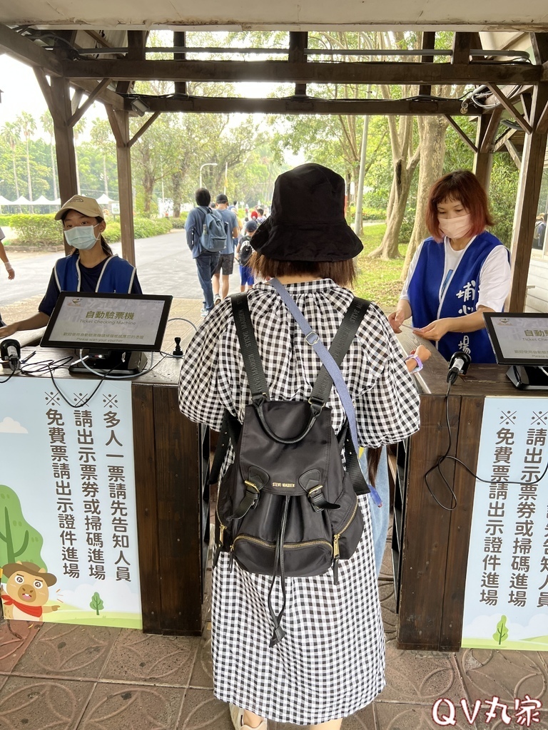 「桃園。遊記」埔心牧場，萌萌村，可愛動物區，賽金豬賽福羊，牛