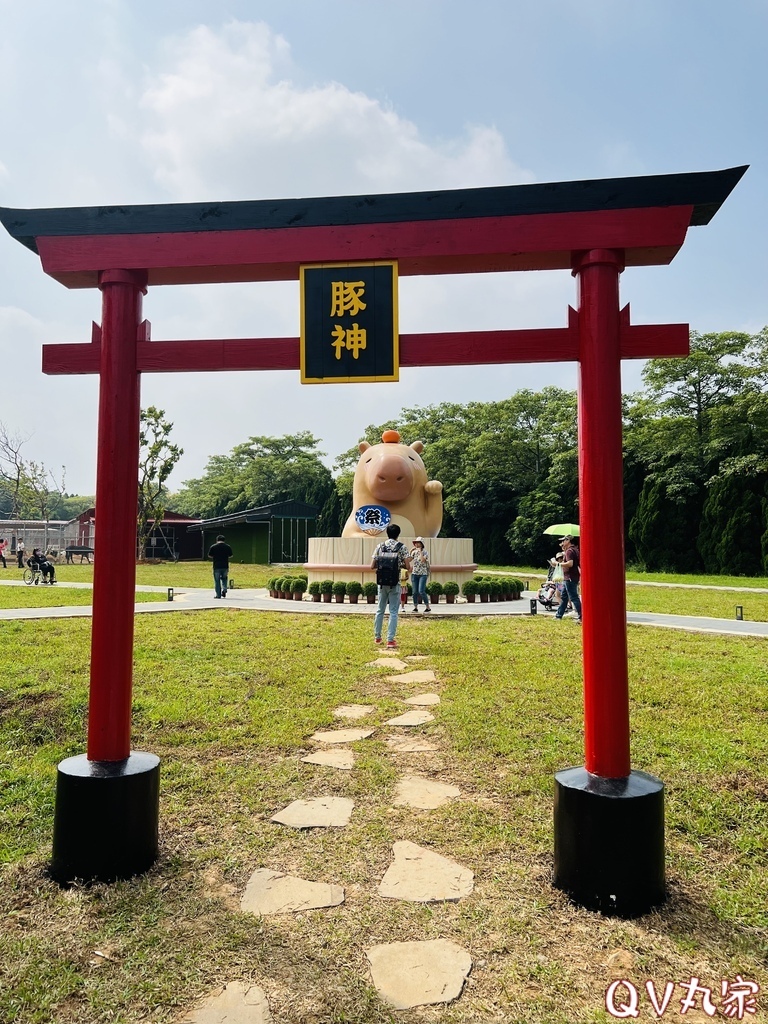 「桃園。遊記」埔心牧場，萌萌村，可愛動物區，賽金豬賽福羊，牛