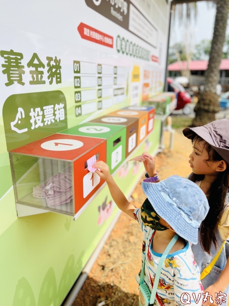 「桃園。遊記」埔心牧場，萌萌村，可愛動物區，賽金豬賽福羊，牛