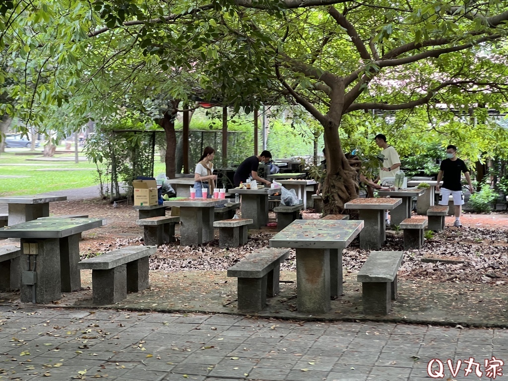 「桃園。遊記」埔心牧場，萌萌村，可愛動物區，賽金豬賽福羊，牛