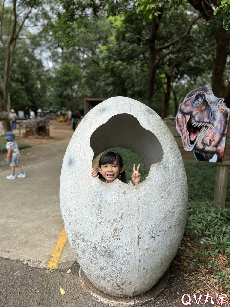 「桃園。遊記」埔心牧場，萌萌村，可愛動物區，賽金豬賽福羊，牛