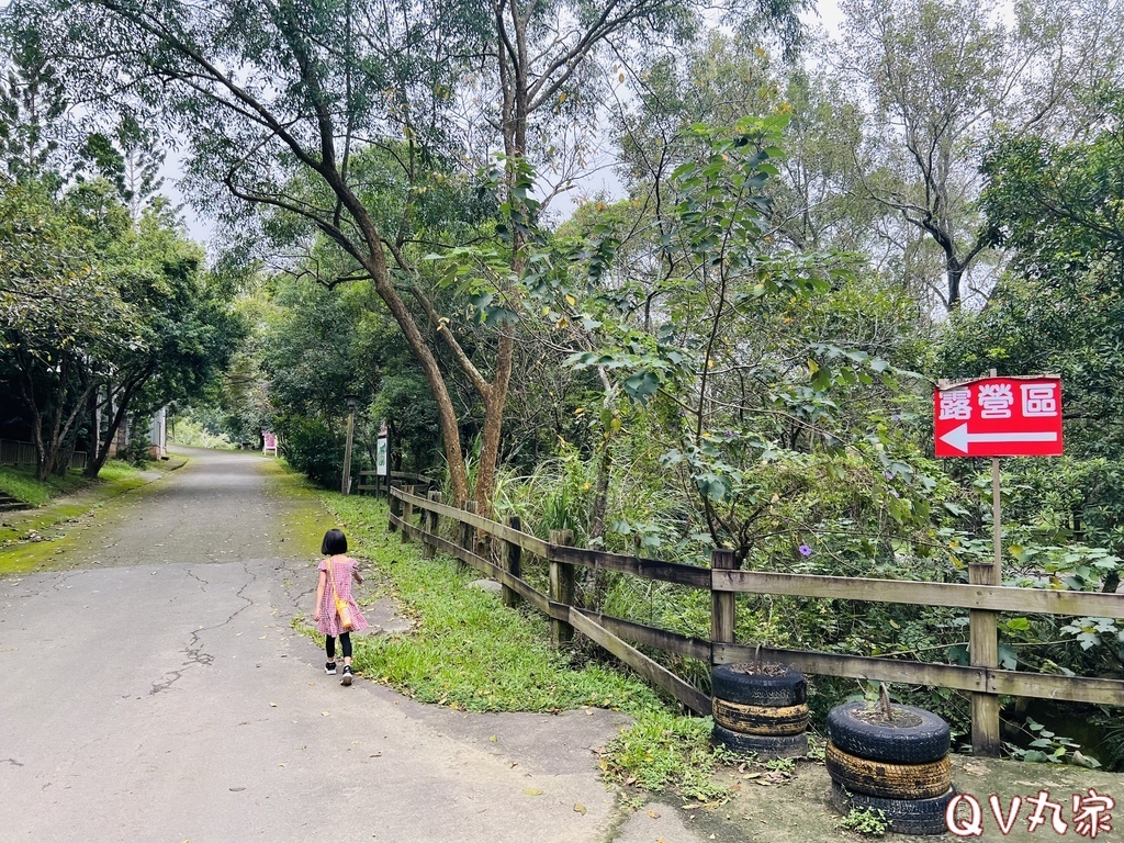 「苗栗。遊記」飛牛牧場，手工擠乳體驗、餵小牛喝奶、鴨BB大遊