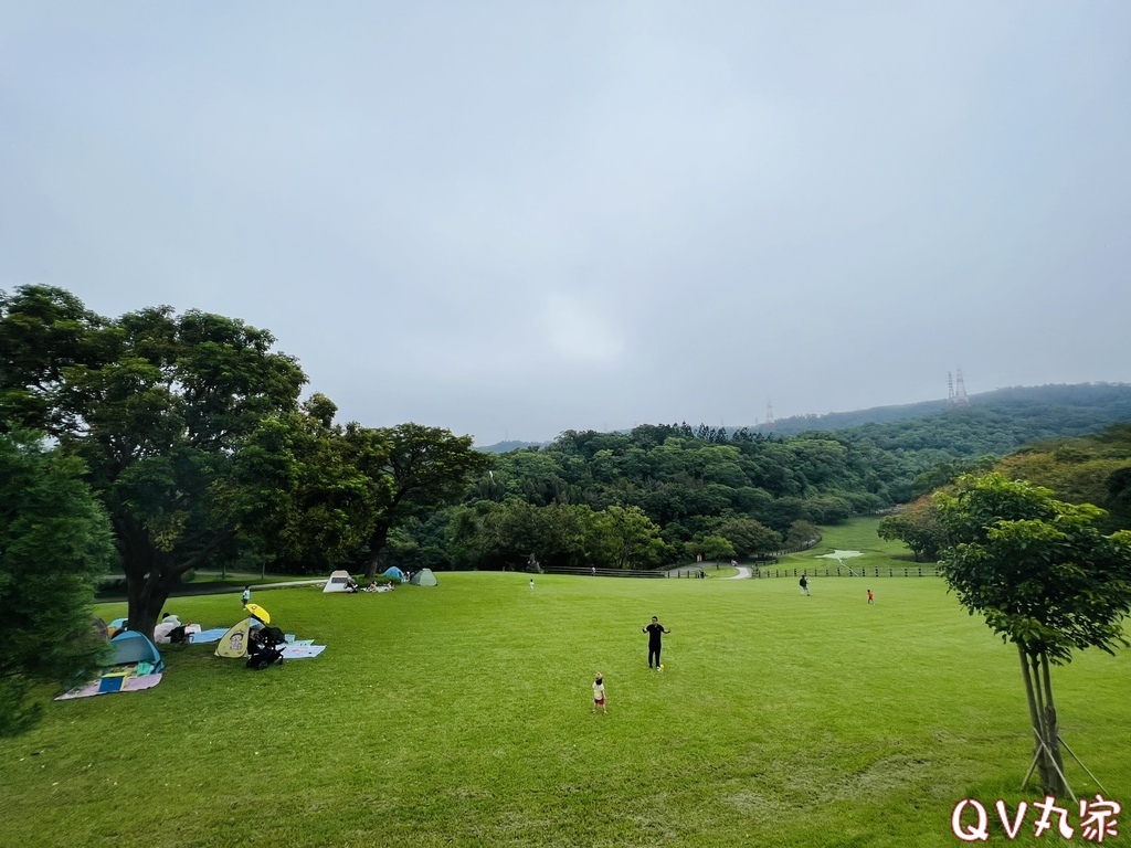 「苗栗。遊記」飛牛牧場，手工擠乳體驗、餵小牛喝奶、鴨BB大遊