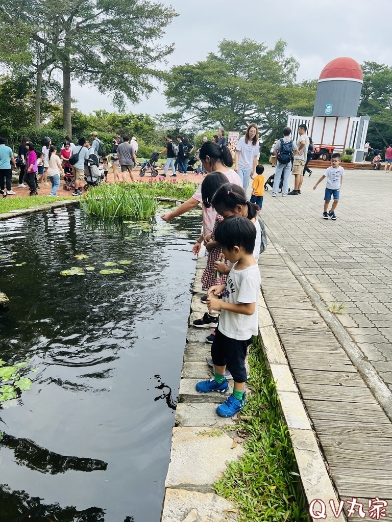 「苗栗。遊記」飛牛牧場，手工擠乳體驗、餵小牛喝奶、鴨BB大遊