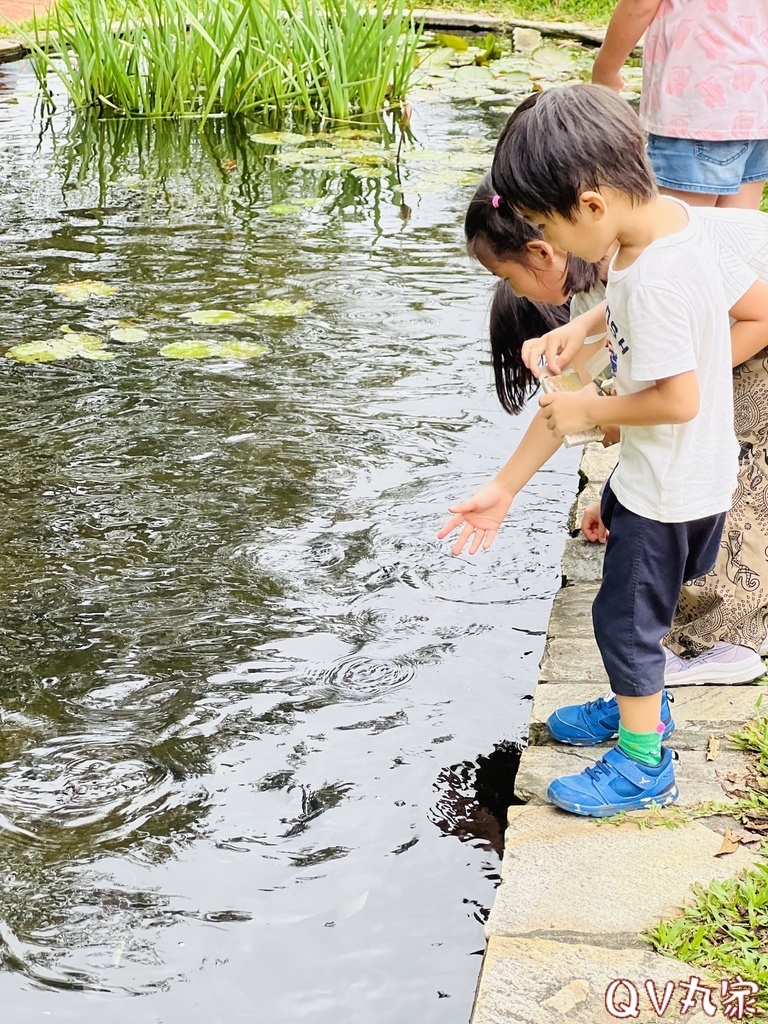 「苗栗。遊記」飛牛牧場，手工擠乳體驗、餵小牛喝奶、鴨BB大遊