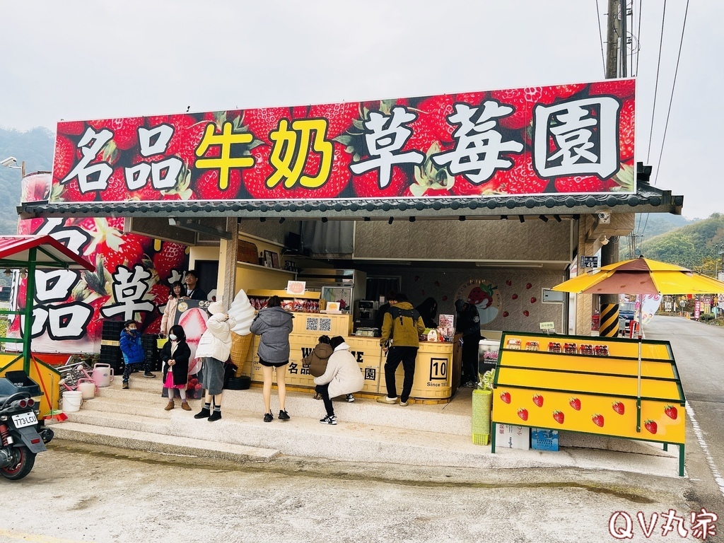「苗栗。遊記」名品草莓園