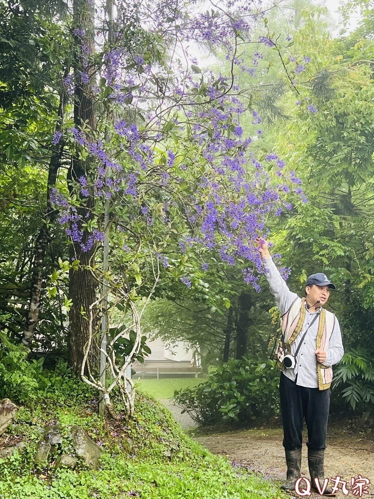 「新竹。露營」蟬說：霧繞Woorao 免裝備豪華露營，一泊二