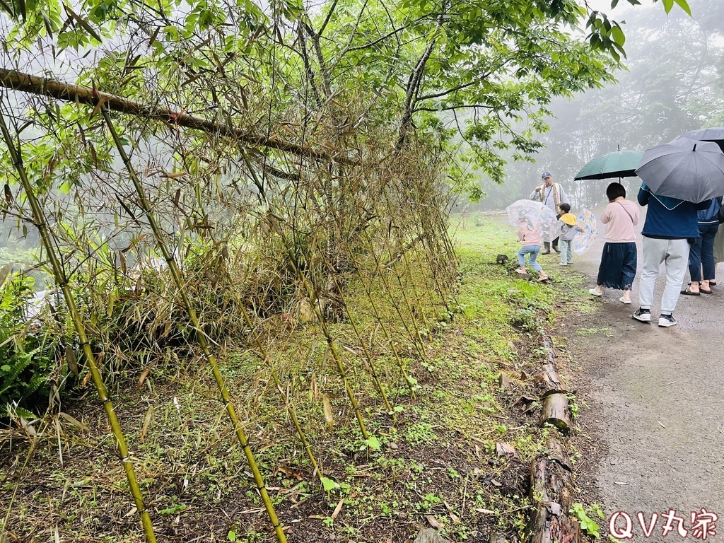 「新竹。露營」蟬說：霧繞Woorao 免裝備豪華露營，一泊二