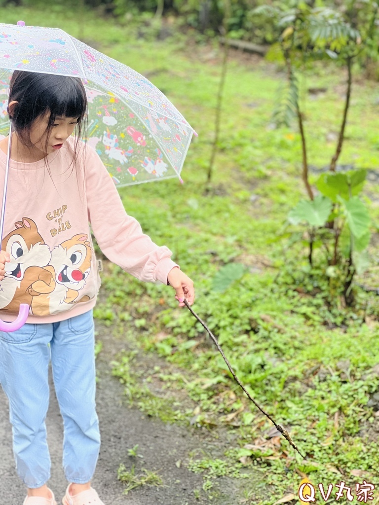 「新竹。露營」蟬說：霧繞Woorao 免裝備豪華露營，一泊二