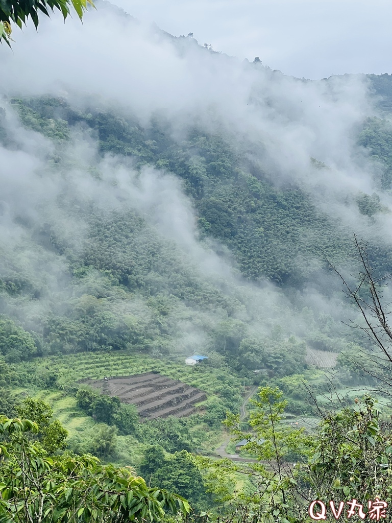 「新竹。露營」蟬說：霧繞Woorao 免裝備豪華露營，一泊二