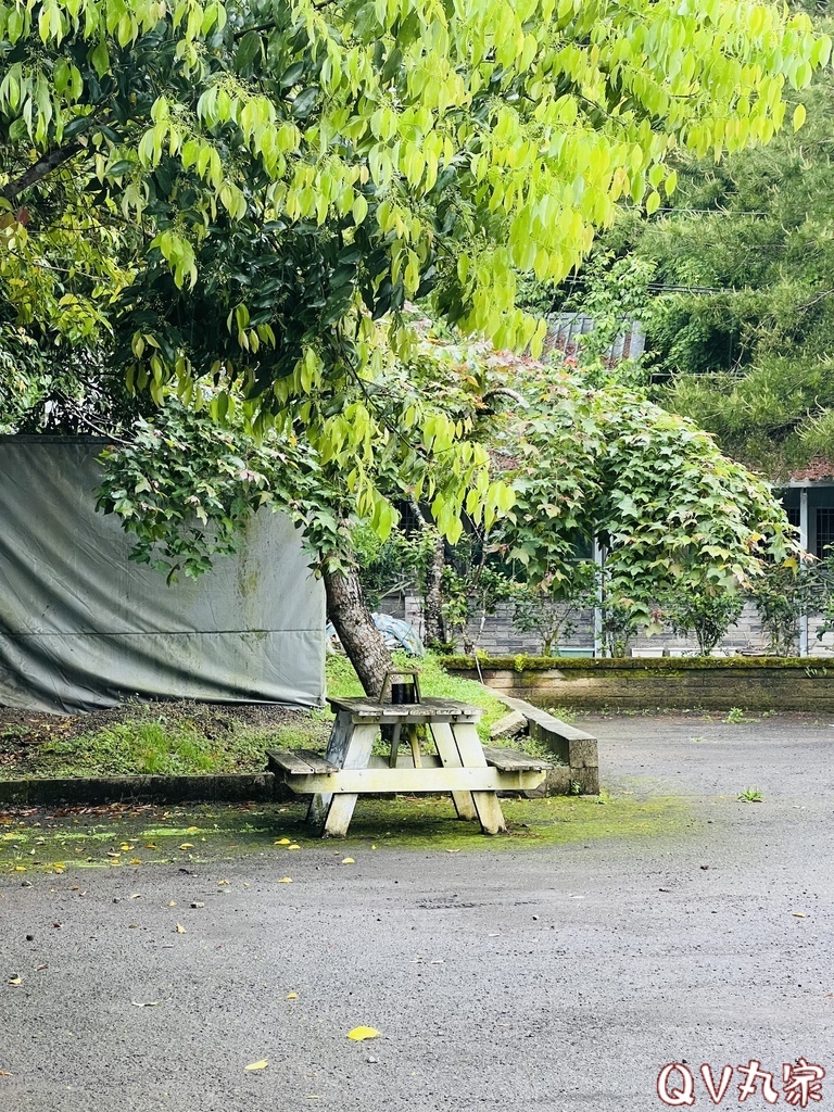 「新竹。露營」蟬說：霧繞Woorao 免裝備豪華露營，一泊二