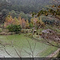 明池包車旅遊相片