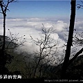 太平山包車旅遊相片