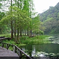 福山植物園4.jpg