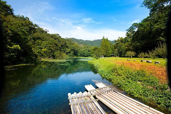 福山植物園接駁價錢諮詢，福山植物園包車一日遊-熊熊車隊