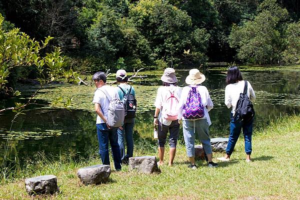 福山植物園接駁價錢諮詢，福山植物園包車一日遊-熊熊車隊