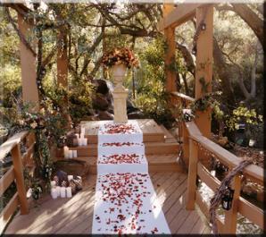 Wedding site: under the canopy