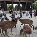 京阪-118.JPG