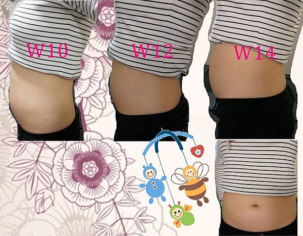 W-belly14