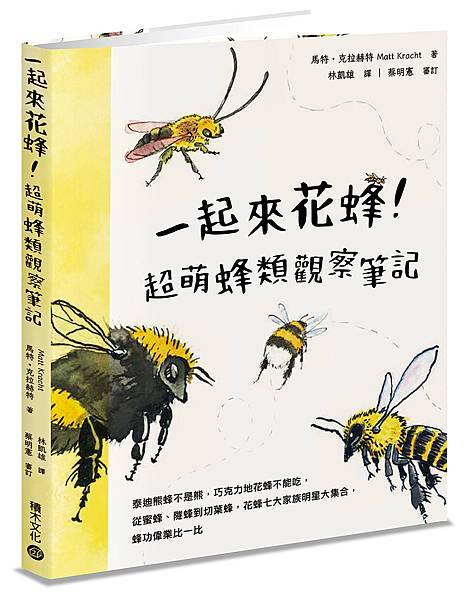 ■蜂潮再起！🐝《一起來花蜂！超萌蜂類觀察筆記》：泰迪熊蜂不是