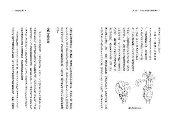 真摯又充滿活力的菇菇文學!🌲與真菌博士顧曉哲一起探索🍄《日常 真摯又充滿活力的菇菇文學!🌲與真菌博士顧曉哲一起探索🍄《日常