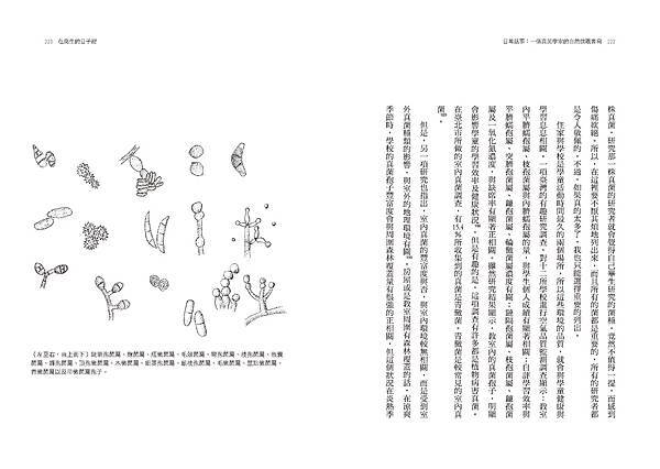 真摯又充滿活力的菇菇文學!🌲與真菌博士顧曉哲一起探索🍄《日常 真摯又充滿活力的菇菇文學!🌲與真菌博士顧曉哲一起探索🍄《日常