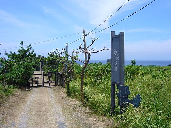 這次的主角-沙漠風情