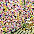 花牆區2.JPG