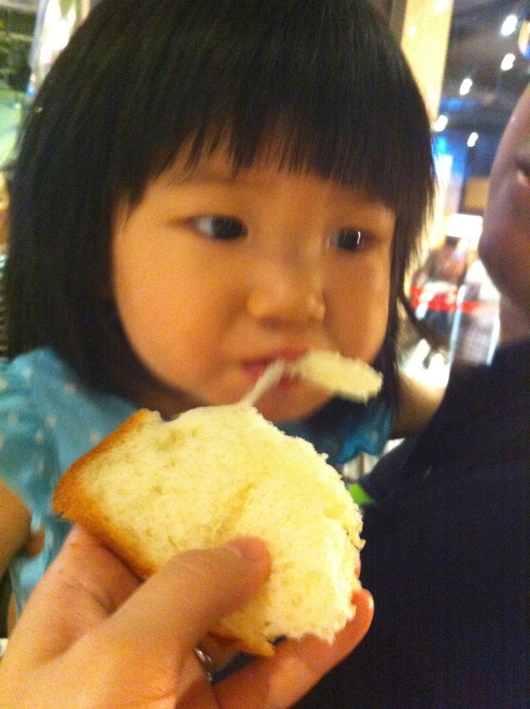 IMG_4730 IMG_4730