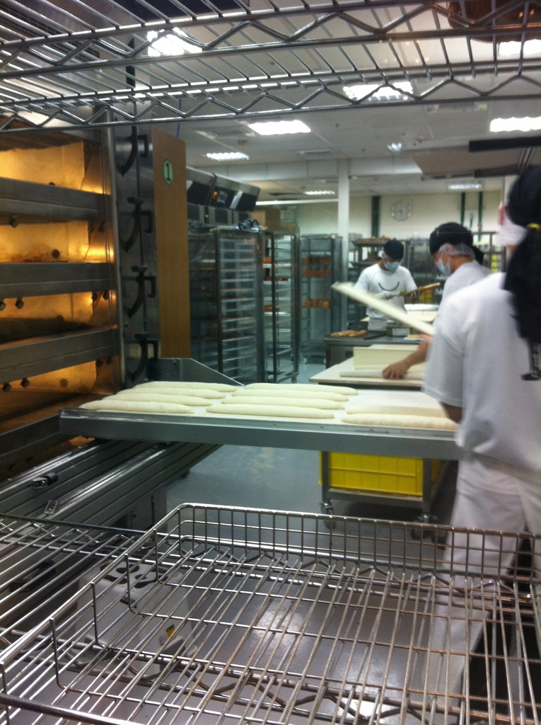 IMG_4724 IMG_4724