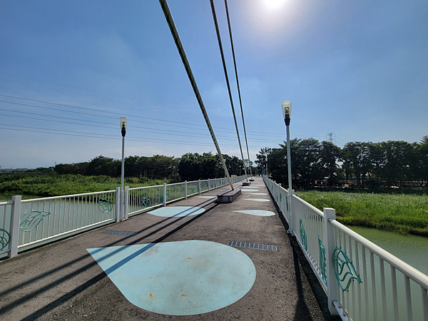 【嘉義市東區景點】綠映水漾公園～適合帶寵物來跑跑，欣賞橫跨八