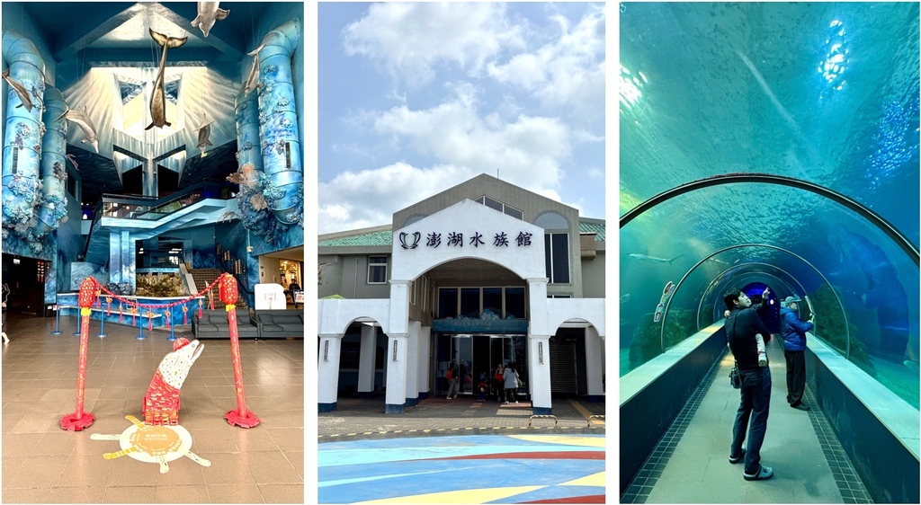 【澎湖白沙景點】澎湖水族館