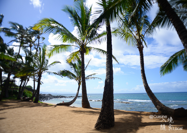 Maui beach scene