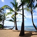 Maui beach scene