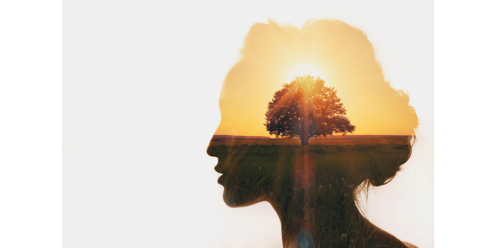 人格發展.png 人格發展.png