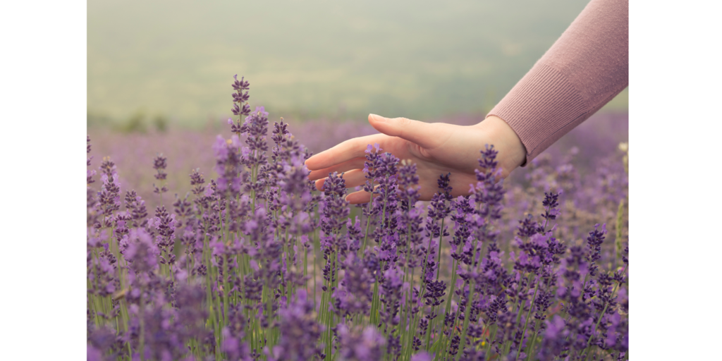 溫柔牽引 (1).png 溫柔牽引 (1).png