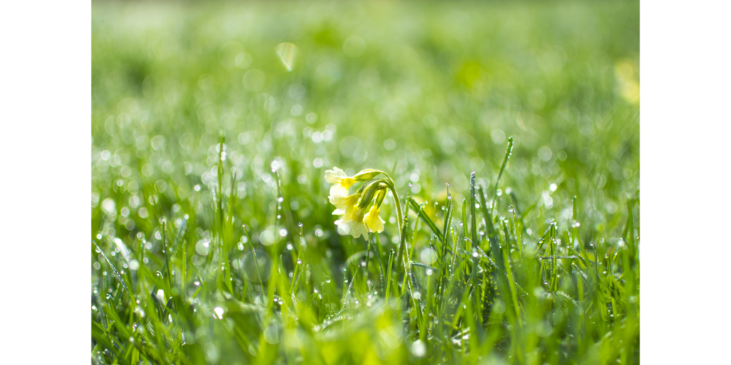 永遠常新.png 永遠常新.png