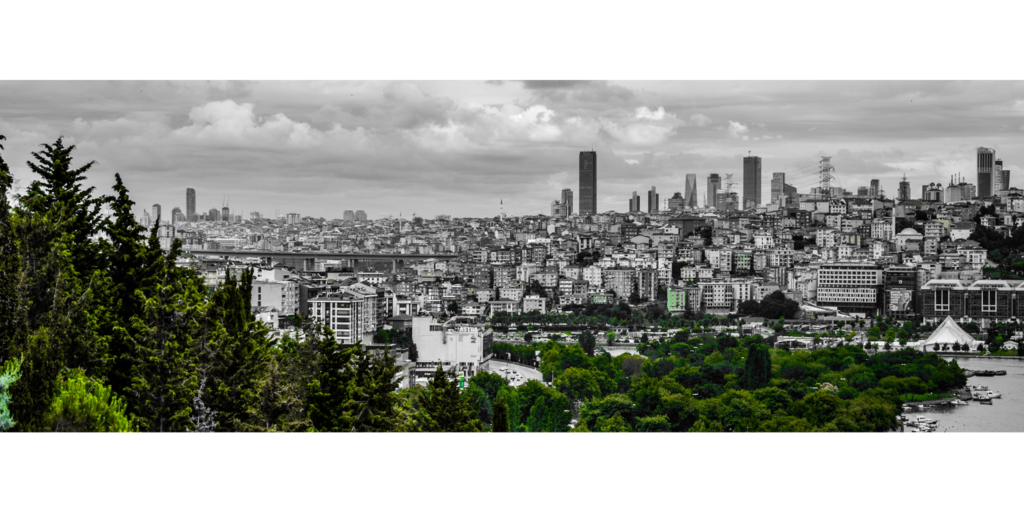 心智體.png 心智體.png