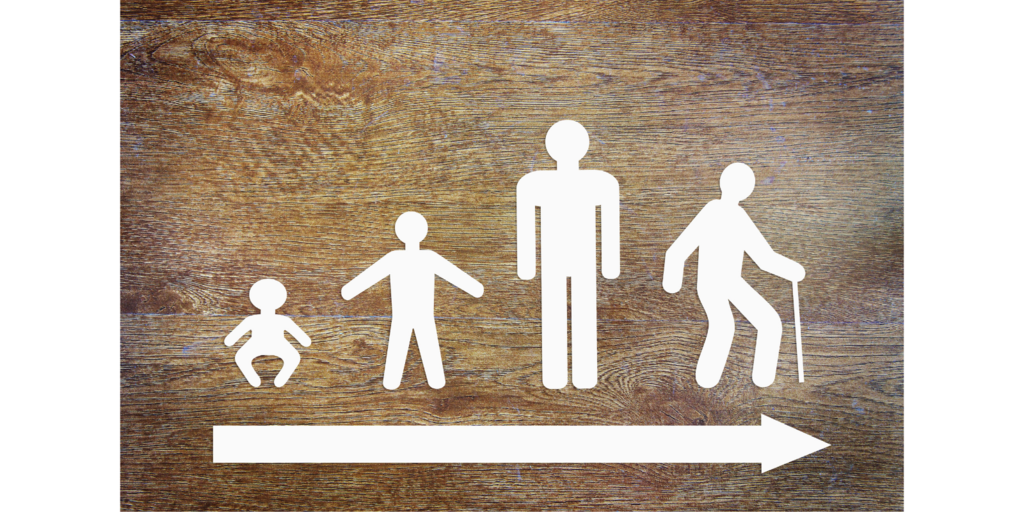 出生到老.png 出生到老.png