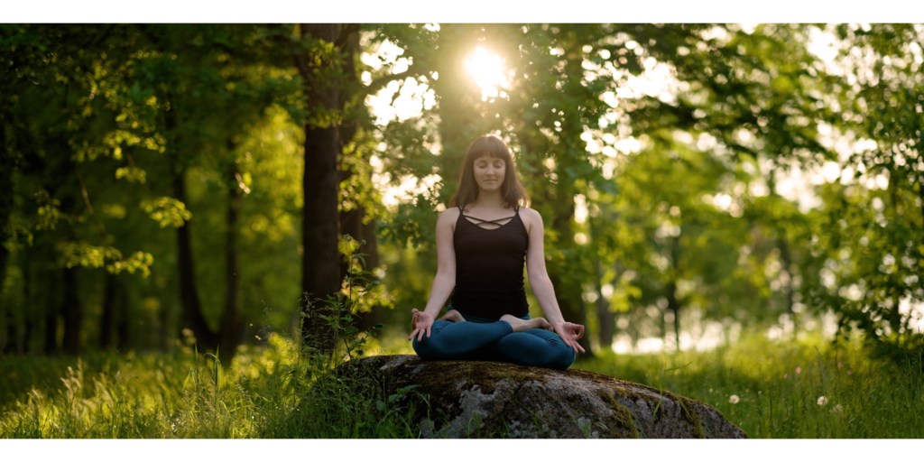 傳輸載體.png 傳輸載體.png